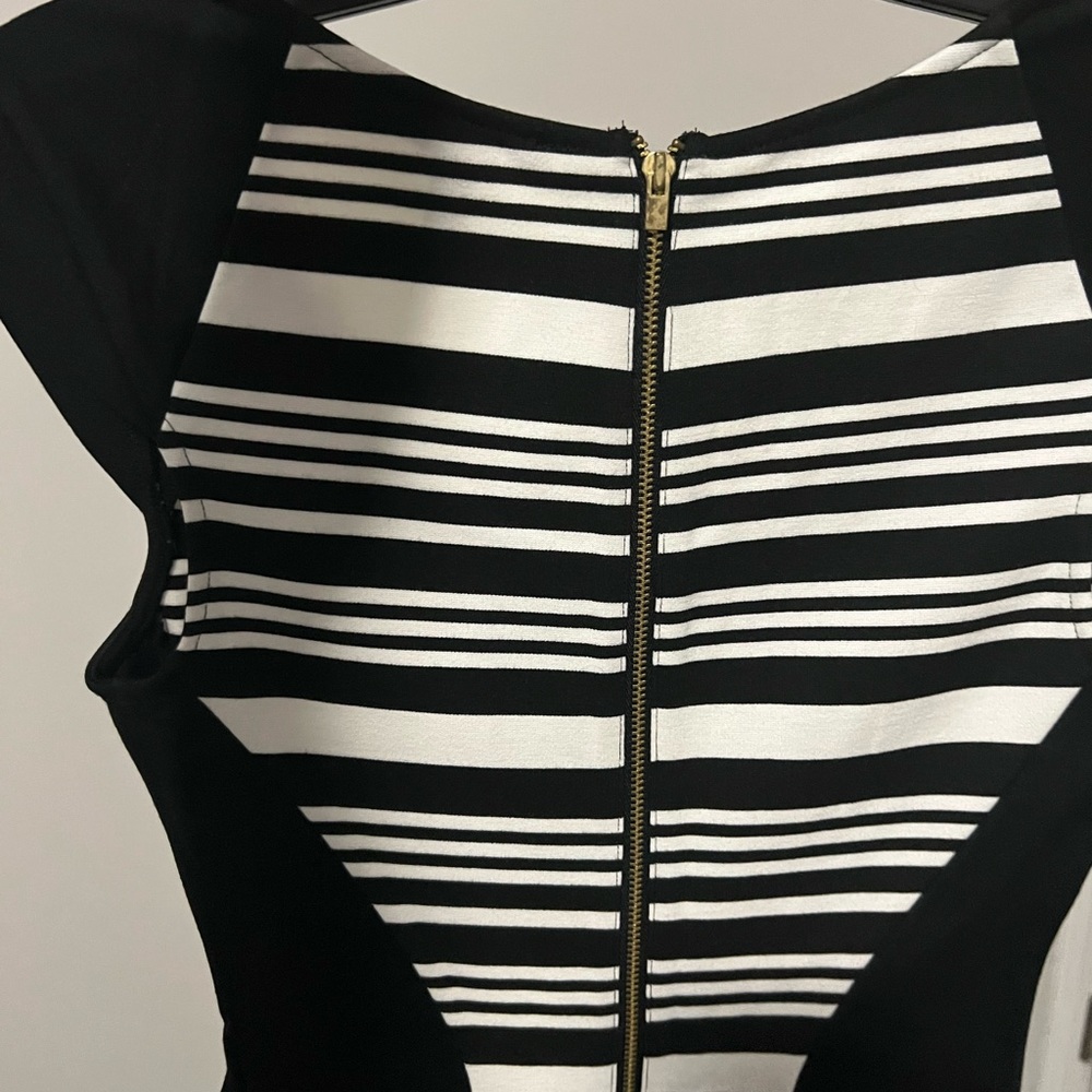 Express Dress - Picture 3 of 6